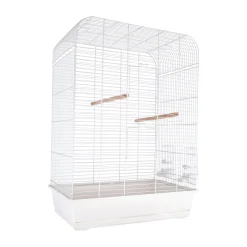 Inter-Zoo Vogelkooi><noscript><img width=