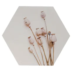 Natural Collections Woondecoratie>Wanddecoratie papaver 38 x 38 cm