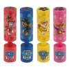 Nickelodeon Sport En Spel>Waterkanon 15cm Paw Patrol assorti