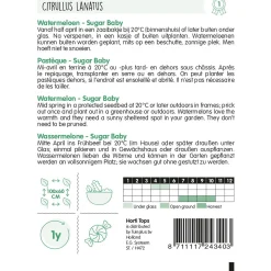 Horti Tops Moestuin>Watermeloenen sugar baby zaad