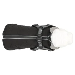 Friendly Pet Hondenjas><noscript><img width=