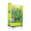 Buzzy Moestuin>XL Blauwe zomerbloemenzaad 50m2