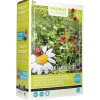 Buzzy Moestuin>XL Lieveheersbeestjes bloemenmengsel 50m2