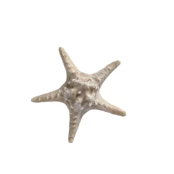 Natural Collections Woondecoratie><noscript><img width=