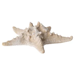 Natural Collections Woondecoratie><noscript><img width=