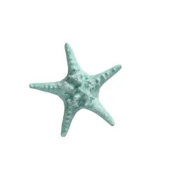 Natural Collections Woondecoratie>Zeester 19 cm blauw, 2 assorti