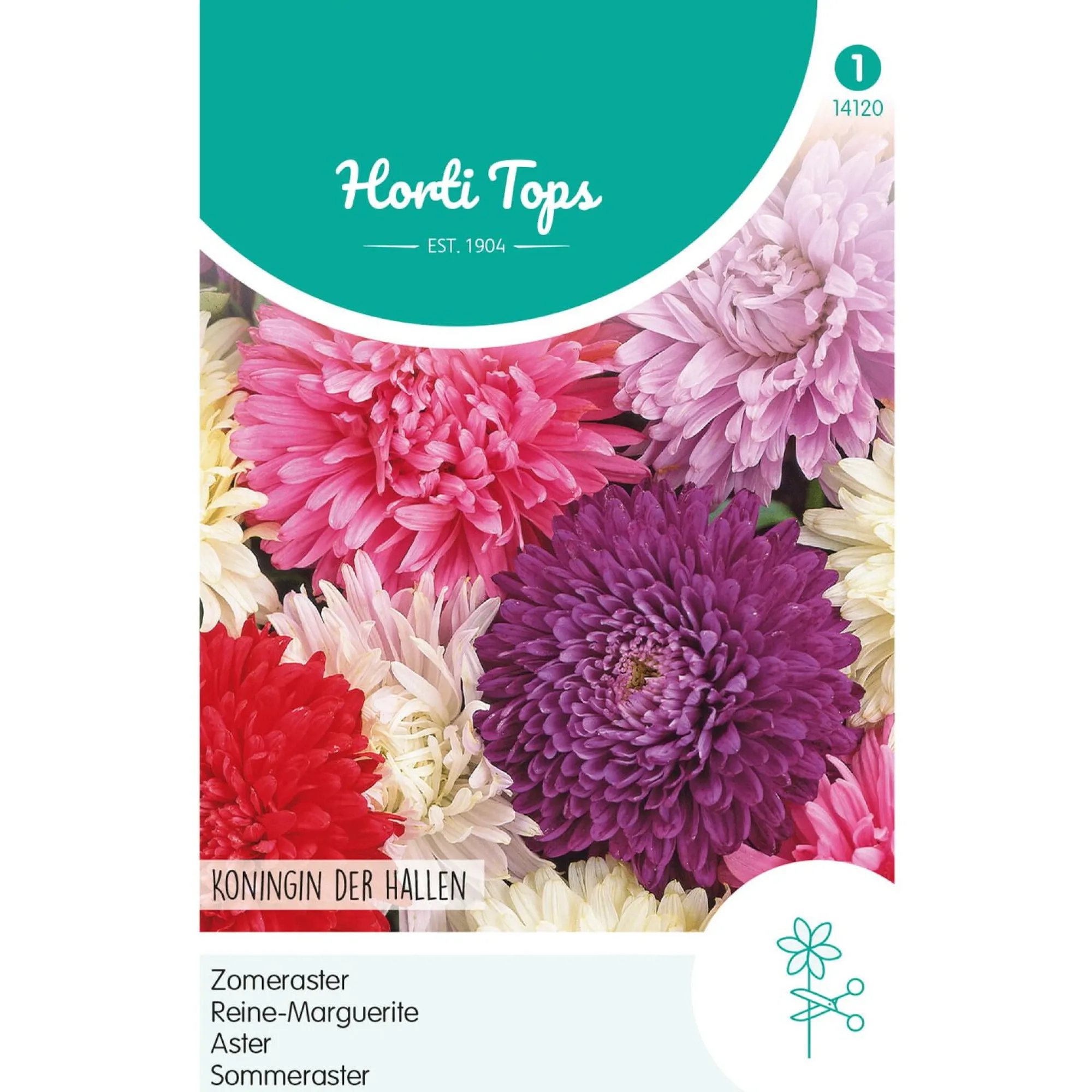 Horti Tops Moestuin>Zomeraster Koningin der Hallen Mix