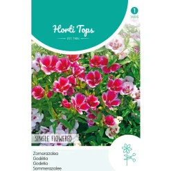 Horti Tops Moestuin>Zomerazalea Enkelbloemig Mix