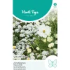 Horti Tops Moestuin>Zomerbloemen witte tinten