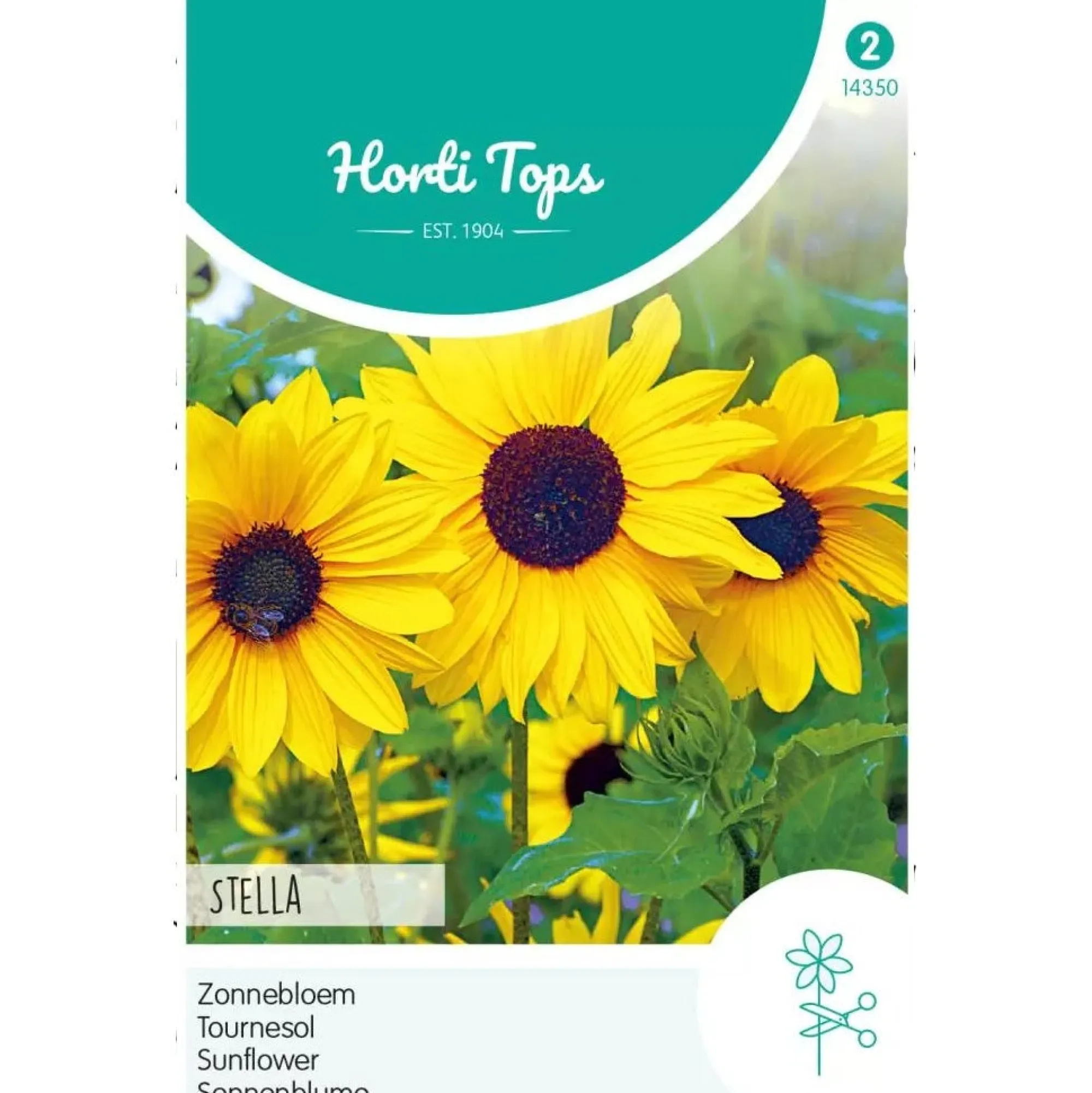 Horti Tops Moestuin>Zonnebloem Stella
