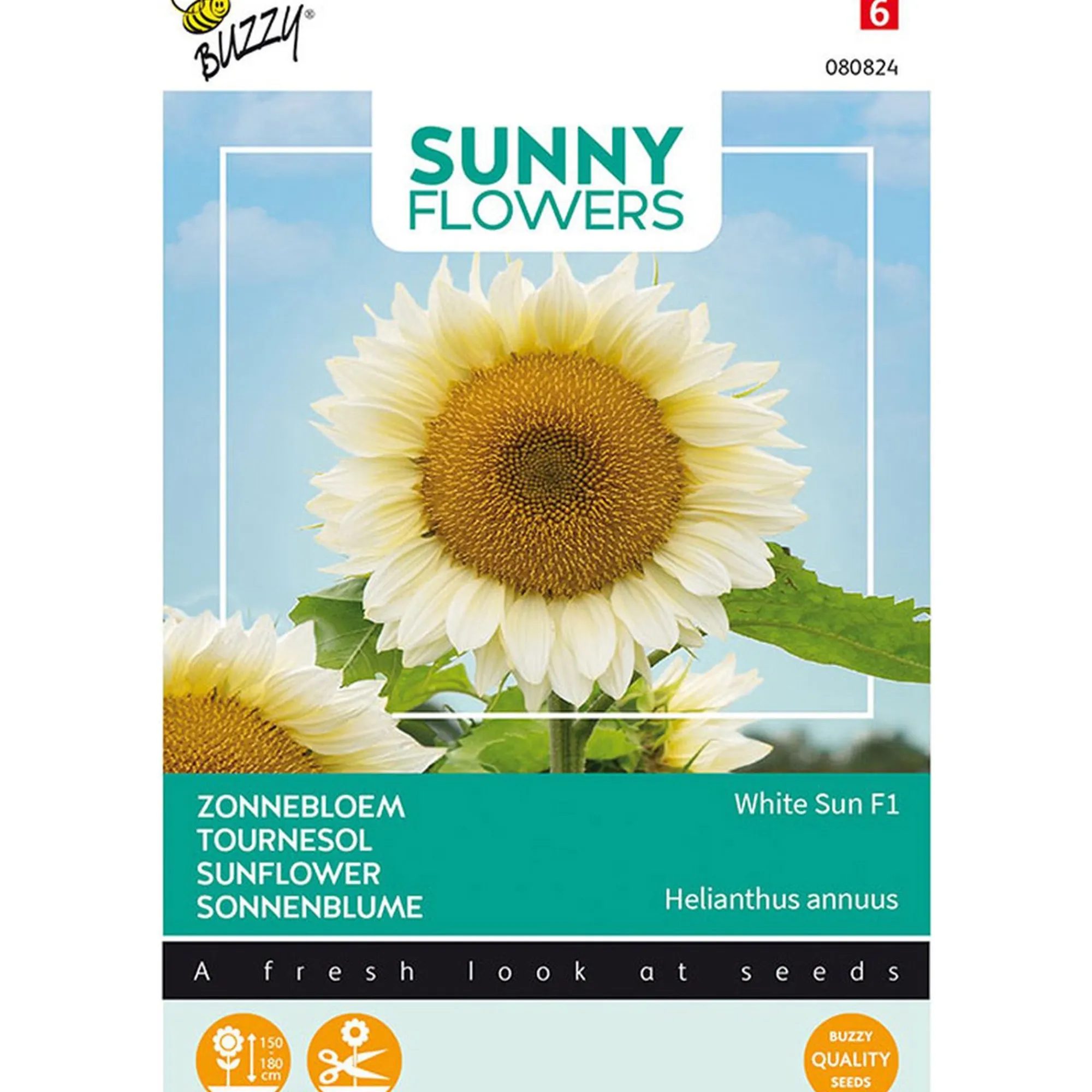 Buzzy Moestuin>Zonnebloem White Sun of Day