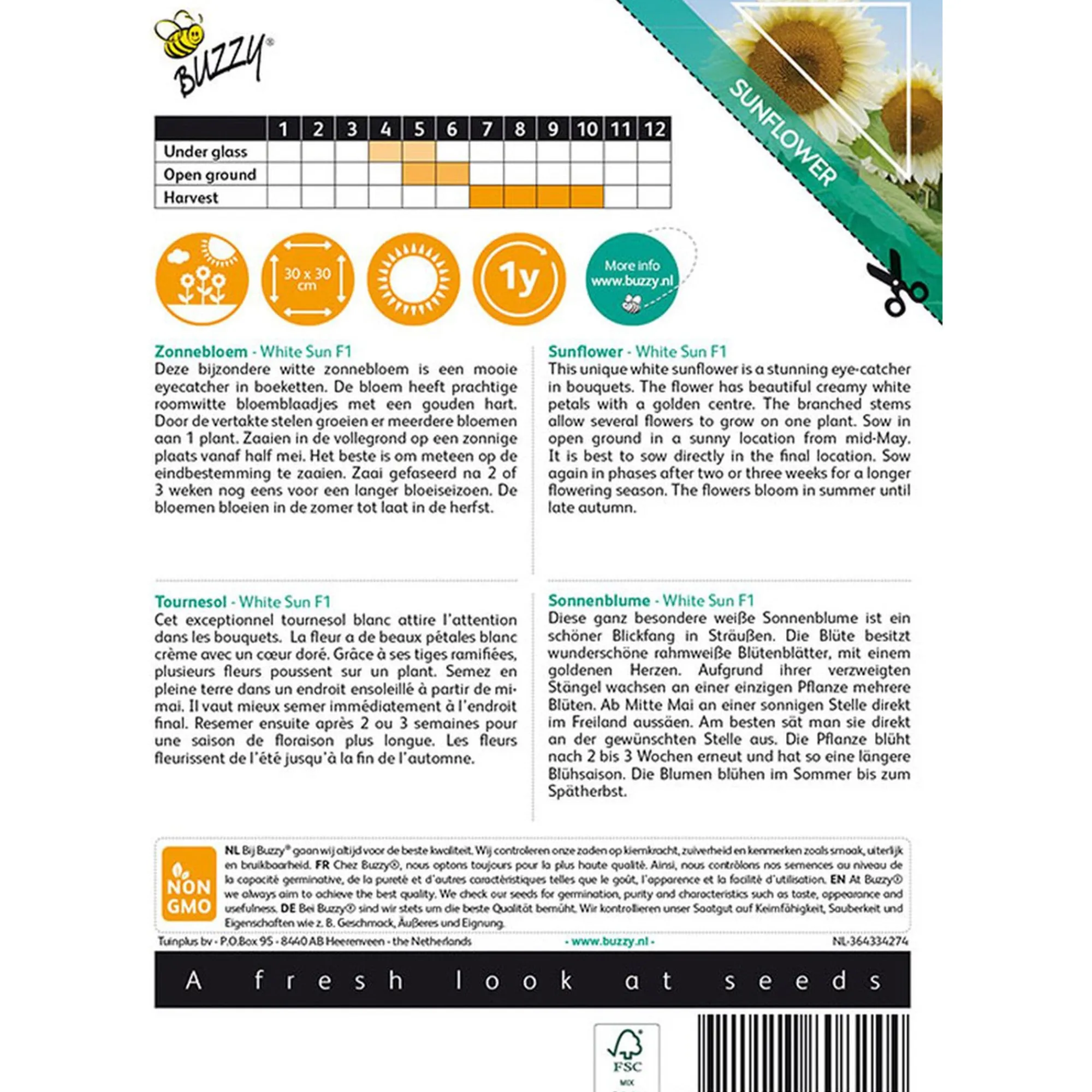 Buzzy Moestuin>Zonnebloem White Sun of Day